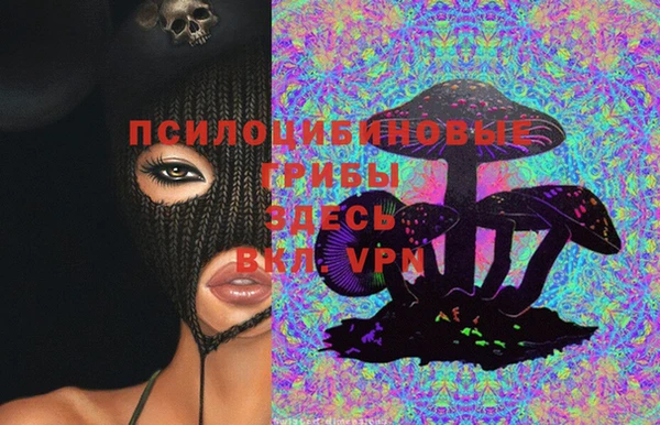 шишки Орехово-Зуево