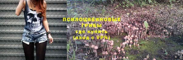 соль ск Костерёво