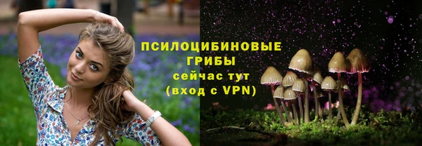 соль ск Костерёво