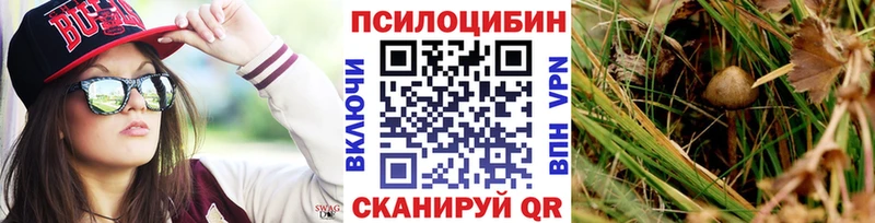 Галлюциногенные грибы Psilocybe  наркота  Осташков 